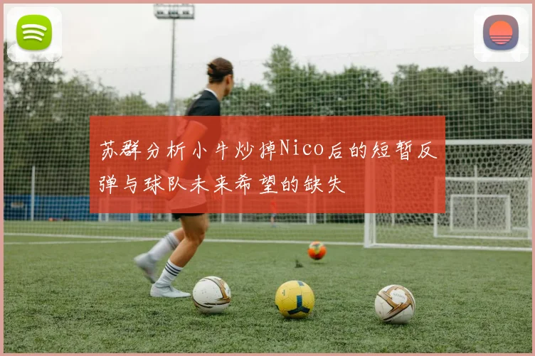 苏群分析小牛炒掉Nico后的短暂反弹与球队未来希望的缺失